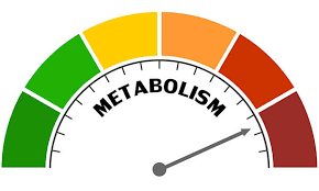 Boost your metabolism fast and easy
